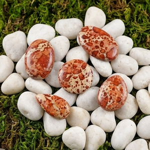 Lote de Piedras Preciosas de Jaspe Asteroide Natural con Cabujón Pulido, Formas y Tamaños Variados, Diseñadas para la Creación de Joyería Creativa - Product Image 3