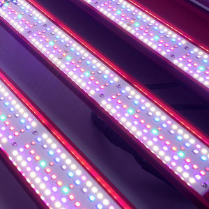 Solutions de panneaux lumineux personnalisés gratuites disponibles, lampe de culture LED Samsung à spectre complet 1000W pour systèmes hydroponiques en serre - Product Image 2