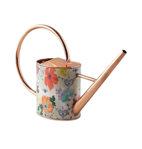 กระป๋องโลหะสำหรับรดน้ำต้นไม้ทาสีมือสำหรับสวนในบ้าน - Product Image 4