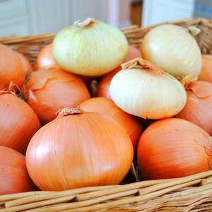 CEBOLLA CONGELADA PURA/DETOX DEL HÍGADO/INGREDIENTE LIMPIO/EMPAQUETADO NUTRITIVO - Product Image 1