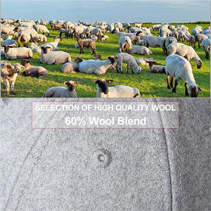 Gorra de béisbol de lana con tirantes ajustable para amantes del invierno Unisex, sombrero de papá de Color sólido personalizado con bordado a mano deportivo para hombres y mujeres - Product Image 4