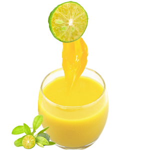 100% Jus de calamansi congelé de qualité supérieure Goût sucré Boissons Origine Vietnam - Product Image 6