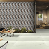 Carreaux muraux d'extérieur au design moderne 300x600mm Carreaux de porcelaine aspect pierre émaillée à haute profondeur Fonctions de brique réfractaire antidérapantes