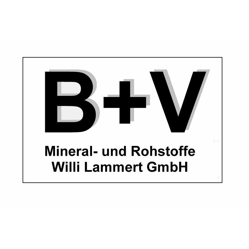 B+V Mineral- und Rohstoffe GmbH logo