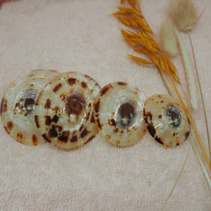 CÁSCARAS DE LÁMPARA NATURAL PARA EMBARAZADAS MEJOR VENDEDOR SHELL MUY RECOMENDABLE MUJER COMFORT MOM'S NIPPLE - Product Image 3