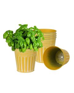 Jardineras galvanizadas de gran tamaño con artesanía tradicional perfecta para crear un ambiente de jardín rústico - Product Image 2
