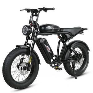 NEW M20-II 20Inch Electric Mountain Bike MTB Iron Frame 48V/36Ah Dual Battery 1000W Motor 220km Range Adjustable Suspension - Product Image 1