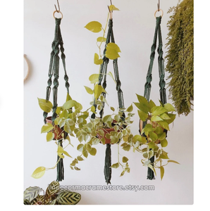 Indoor Garden Plant Holder Customized Macrame Plant Hanger for <b>Wall</b> and Window Decoration - Product Image 3