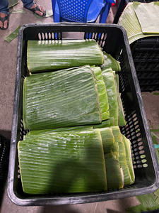 Feuilles de bananier fraîches biologiques de qualité supérieure, saines pour la restauration, les supermarchés et l'emballage alimentaire, propres et flexibles - Product Image 6