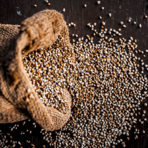 Millet (Ragi) Orgánico Certificado de la India, Sin Gluten, Alto en Fibra, Sin OMG, para Hornear y Alimentos para Bebés, Directo de la India - Product Image 3
