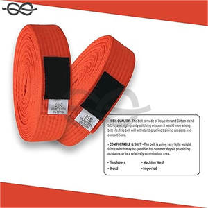 Ceintures d'arts martiaux de karaté personnalisées de haute qualité avec logo brodé vente en gros bonne caractéristique d'entraînement - Product Image 5