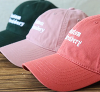 Casquette de baseball unisexe printemps-automne pour l'extérieur, casquette de voyage profonde à visière courbée avec broderie alphabétique, vente en gros VN INJAE VINA