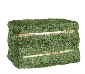 Foin de luzerne en gros excellent pour l'alimentation des animaux bon prix - Product Image 6