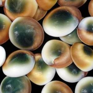 กรอบตาแมวสำหรับตกแต่งงานฝีมือเวียดนามราคาดีที่สุดขายส่งจากเวียดนาม - Product Image 5