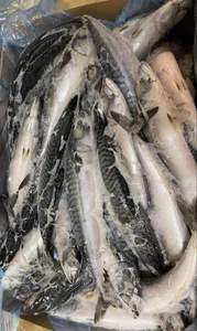 Filets de thon à nageoires jaunes entiers, désossés et congelés - Product Image 6