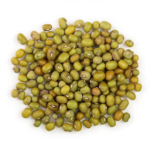 Usine en vrac de qualité supérieure exportation directe de gros haricots mungo séchés naturels haute teneur en protéines récolte fraîche qualité haricots mungo purs - Product Image 2