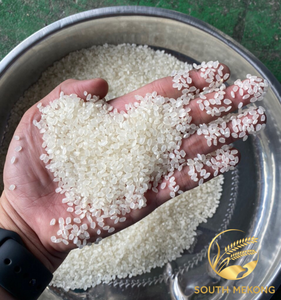 Arroz integral japónica de alta calidad, textura suave seca a precio mayorista - Product Image 2