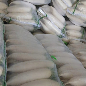 Rábano fresco a granel barato del proveedor Bao Tram Anh Vietnam - Product Image 2