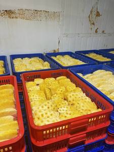 Ananas surgelé IQF, biologique, de haute qualité, naturellement sucré, Brix 10%, 99GD, emballé sous vide en boules - Product Image 5