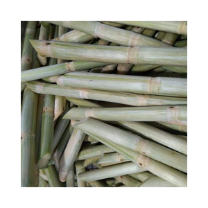 BÂTON DE CANNE À SUCRE NATURELLE DU VIETNAM Bâton de canne à sucre congelé de haute qualité - Product Image 5