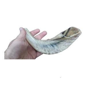 Cuerno de Shofar de Carnero Natural Pulido - Decoración Religiosa Ecológica para el Hogar de Alta Calidad - Product Image 1