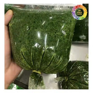 Feuille de tapioca concassée congelée pour la cuisson instantanée Feuille de manioc moulue congelée pour la maison et les restaurants - Product Image 5