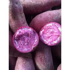 Chất lượng cao màu tím khoai lang từ Việt Nam dinh dưỡng và nông nghiệp sản phẩm - Product Image 6