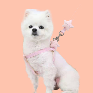 Venta al por mayor de fábrica, Collar de nailon para perros, correas, arnés de pecho, conjunto ajustable, cómodo, Collar para perros, correas para caminar al aire libre - Product Image 2