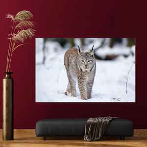 Art mural en verre trempé Lynx Cat : Impression sur toile d'animaux hivernaux, TOILE ENVELOPPEE - Product Image 1