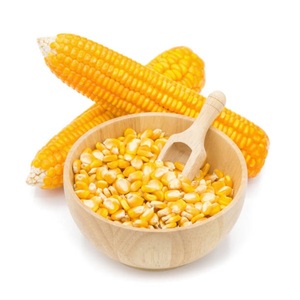 Acheter du maïs séché et du maïs pas cher meilleures offres sur le maïs séché et le maïs - Product Image 1