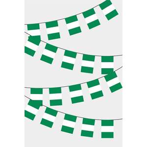 Guirlande de fanions rectangulaires du Nigéria imprimés numériquement en polyester pour affichage – Modèle de drapeau mondial - Product Image 1