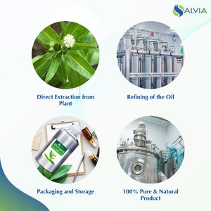 Aceite para el crecimiento del cabello Bhringraj | Calidad Premium | Informe GC para compradores a granel - Product Image 4