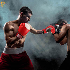 Gants de boxe personnalisés en gros Meilleure vente Gants de boxe de haute qualité sur mesure Oem Design Gants de boxe Gants de combat de boxe - Product Image 4