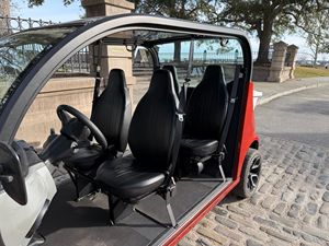 Polaris GEM e4 2022 de Gasolina con Bajo Kilometraje - Product Image 2