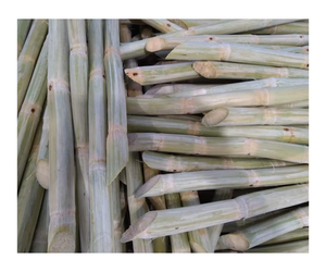 แท่งอ้อยแช่แข็งสำหรับเครื่องดื่มรสหวานกระบวนการ iqf บรรจุจำนวนมากพร้อมส่งออก - Product Image 1