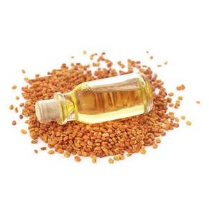 น้ำมันหอมระเหย Fenugreek ใช้เป็นน้ำมันนวด - Product Image 2