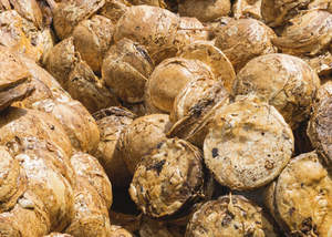 TSR RSS Forfaitaire en caoutchouc de haute qualité à vendre - Product Image 6