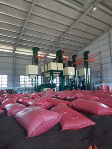 POIVRE NOIR PREMIUM DU VIETNAM, ÉPICE RICHE EN HUILE POUR LA CUISSON, LA TRANSFORMATION ALIMENTAIRE ET L'EXPORTATION |   Mme Lily Ngo - Product Image 3