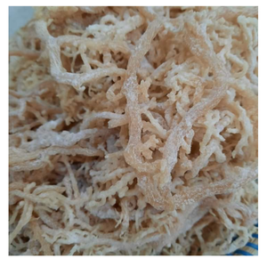 สาหร่ายคอตตอนนีอบแห้งแบบธรรมชาติคุณภาพระดับพรีเมียมอุดมไปด้วยสารอาหารและไฟเบอร์ - Product Image 6