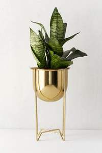 Elegante Maceta Metálica de Interior con Soporte y Acabado Mate que Brinda un Estilo Sutil para la Decoración del Hogar Moderno - Product Image 5