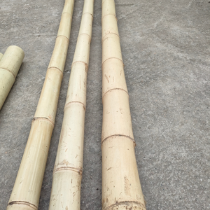 เสาไม้ไผ่ธรรมชาติขนาดใหญ่สำหรับการเกษตรและจัดสวนผลิตภัณฑ์วัตถุดิบไม้ไผ่ - Product Image 5