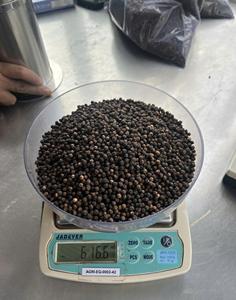 2025 Nouvelle récolte-Poivre noir au meilleur prix du fabricant Phalco Vietnam fiable - Product Image 3