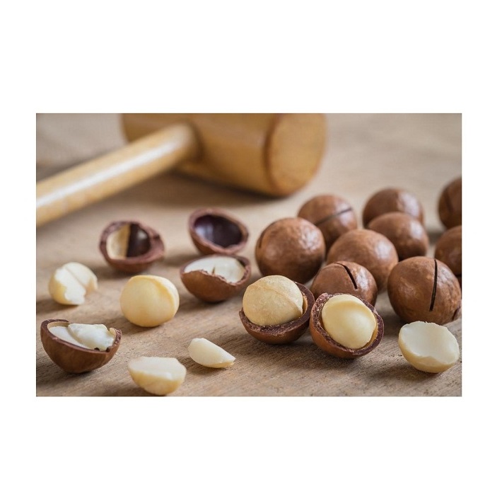 Factory Price Raw Macadamia Nuts Wholesale Roasted Macadamia Nuts