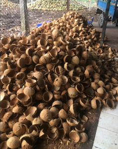 Cáscara de Coco Procesada para Uso Industrial, Producción Artesanal y Procesamiento de Carbón - Product Image 4