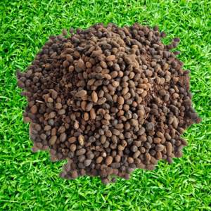 Engrais pour sols agricoles en poudre de fumier de chèvre NPK 100% biologique pour l'horticulture, le jardinage et l'aménagement paysager en vrac - Product Image 3