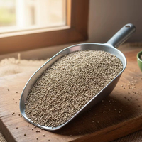 Millet vert/Bajra de qualité supérieure pour animaux d'élevage indiens, disponible à l'exportation