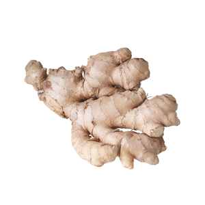 Gingembre frais biologique en vrac Meilleur prix pour la nouvelle récolte de gingembre à vendre - Product Image 1