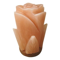 Lampe en sel rose de l'Himalaya Bask Elegance, sculptée à la main en forme de rose, logo personnalisé, différentes tailles pour la décoration de la maison - Sian Enterprises