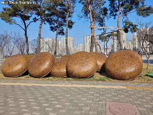 Barco de bambú vietnamita tradicional con diseño circular para pesca y viajes fabricado por VIET FARGIMEX - Product Image 3