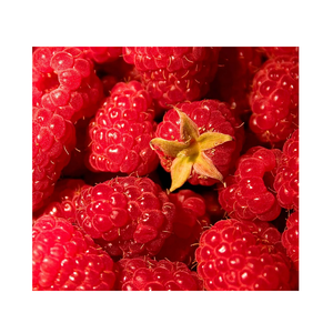 <strong>IQF</strong> Organic <strong>Raspberry</strong> Fresh <strong>Frozen</strong> Berries-Grade a 20kg - Product Image 3